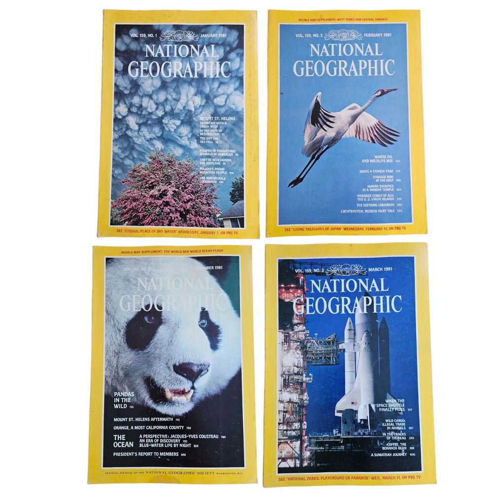 National Geographic Magazine Vtg 1981 Lot of 4